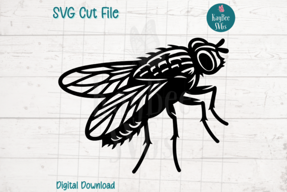 Download Fly Insect Bug SVG Cut File - Fly Collection